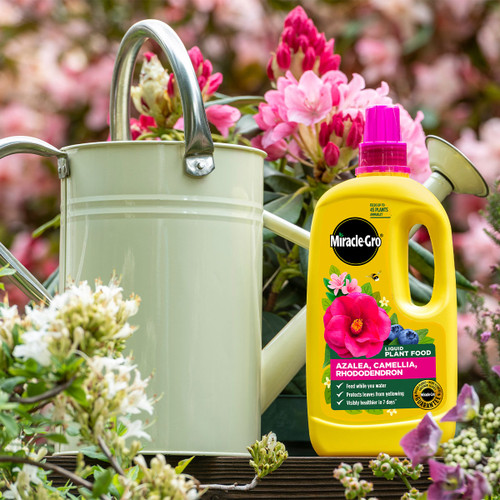 A yellow bottle of Miracle-Gro plant food sits beside a pale green watering can. The background features vibrant pink flowers, conveying a lush garden setting.