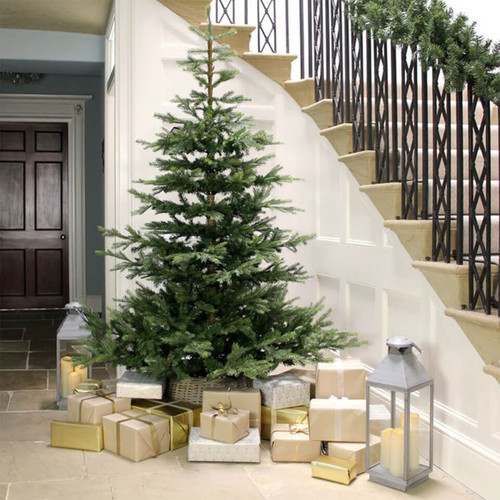 Artificial Christmas tree displayed in a hallway with wrapped presents and lanterns, featuring dense evergreen foliage and a realistic full-profile design.