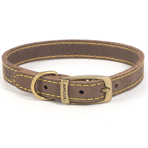 A view of a brown leather dog collar on a white background