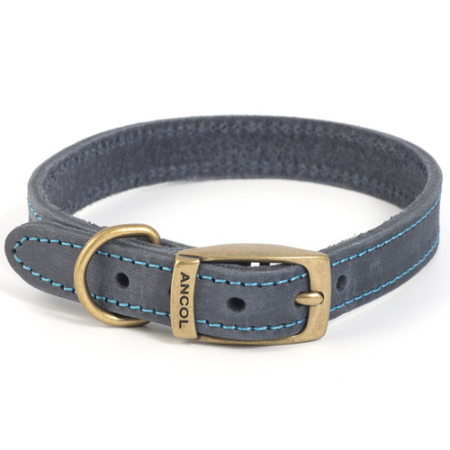 A view of a blue leather dog collar on a white background