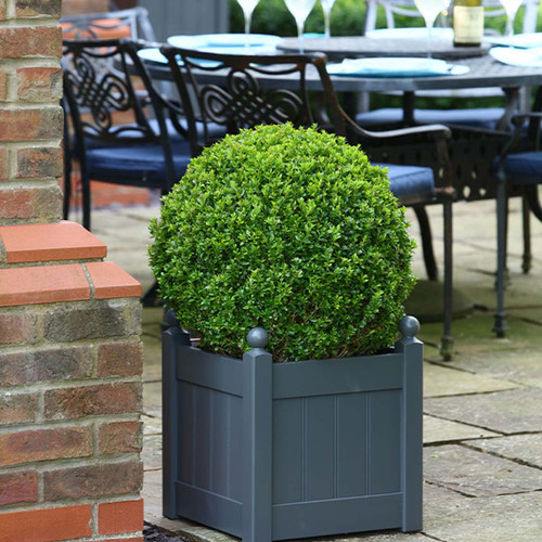 Charcoal grey square wooden planter with ball finial corner posts, holding a clipped round topiary shrub on a patio beside a brick wall.
