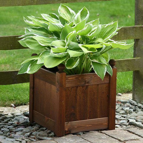 AFK Classic Wooden Planter, Chestnut - 15in