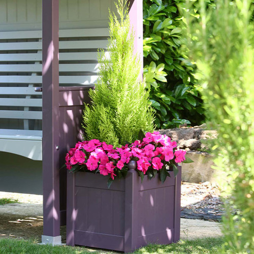 Lavender-coloured square planter beside a garden arbour, planted with a small conifer and bright pink bedding flowers.
