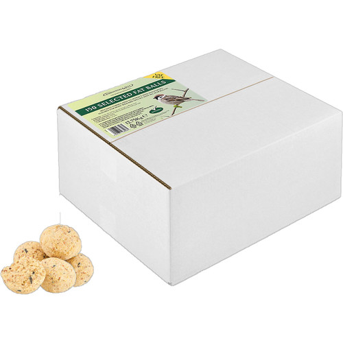 Johnston & Jeff Fat Balls - 150 Pack