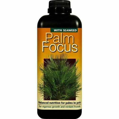 Growth Technology Palm Focus 1L
