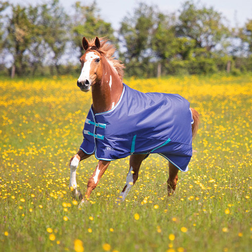 Chestnut horse wearing a navy Shires Tempest Original 100g turnout rug with adjustable chest straps, standing in a grassy field.