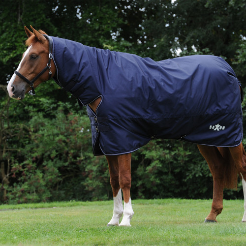 A chestnut horse wearing a navy blue blanket stands on green grass, with a backdrop of lush trees. The scene is peaceful and serene.
