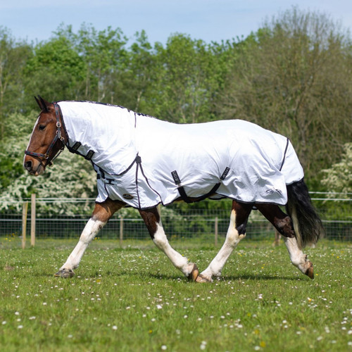 A horse in a white combo fly rug trots in a sunny field with trees in the background.
