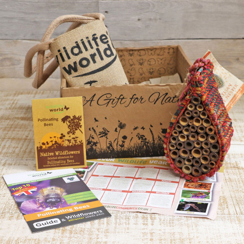 Wildlife World Artisan Insect & Bee Hotel Gift Box | Charlies