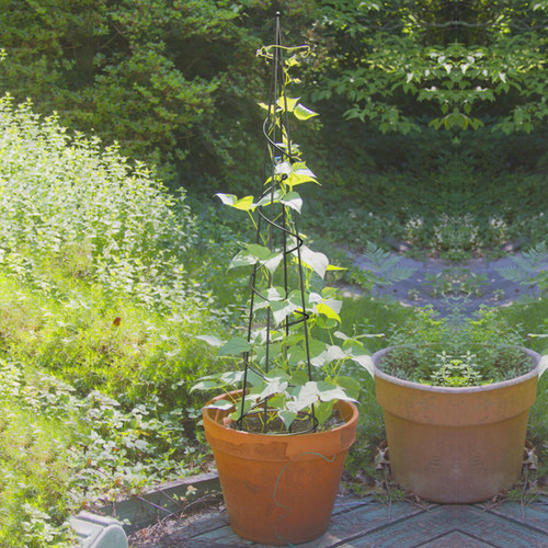 Panacea Spiral Obelisk - 152cm