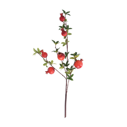 Pomegranate Stem on a white background