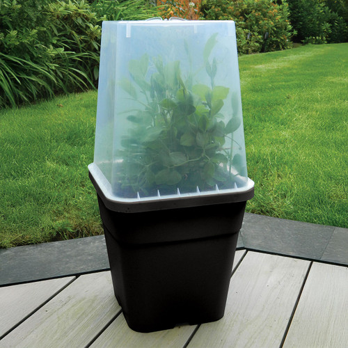 A black propagator pot, with a cover, sat on a patio in front of a lawn.