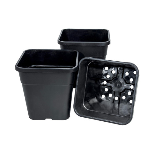 A set of three black square tomato pots.