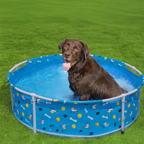 A view of a brown dog in a blue dog paddling pool on green grass