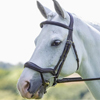 Horse Tack