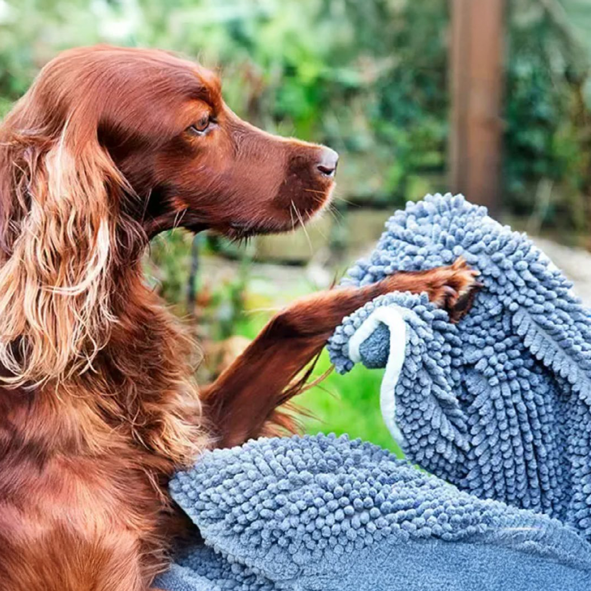 Henry Wag noddle towel