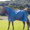 Horse Rugs & Fly Masks