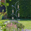 Hooks, Crooks & Feeding Stations