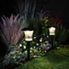 Outdoor Lights