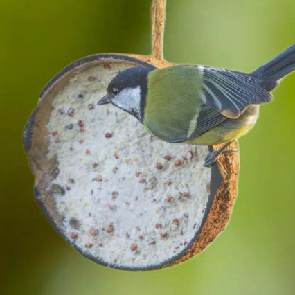 A bird stood on a coconut suet feeder.