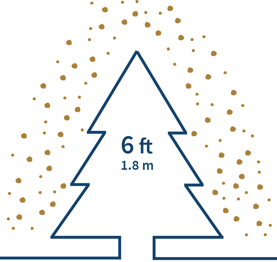 SHOP 6FT CHRISTMAS TREES