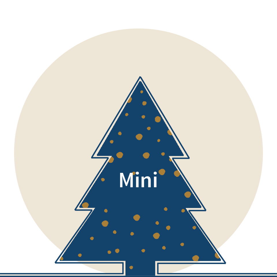 SHOP MINI CHRISTMAS TREES