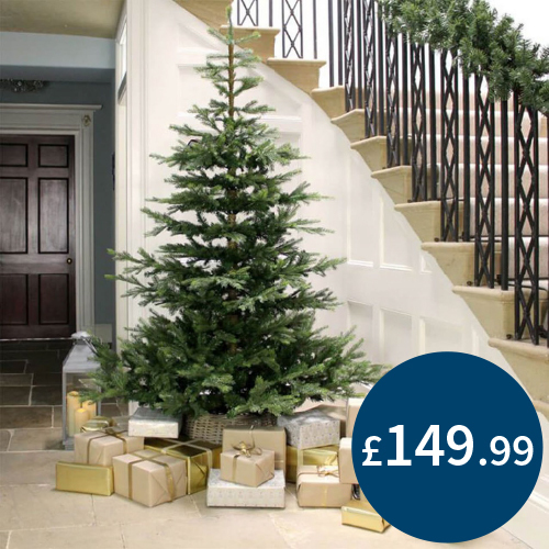 7ft Everlands Grandis Fir Artificial Christmas Tree