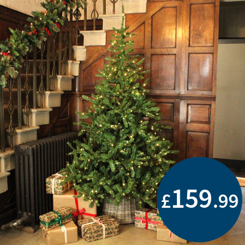 7ft Everlands Pre-Lit Liberty Spruce Artificial Christmas Tree