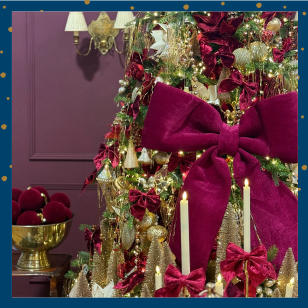 VELVET OPULENCE > 
