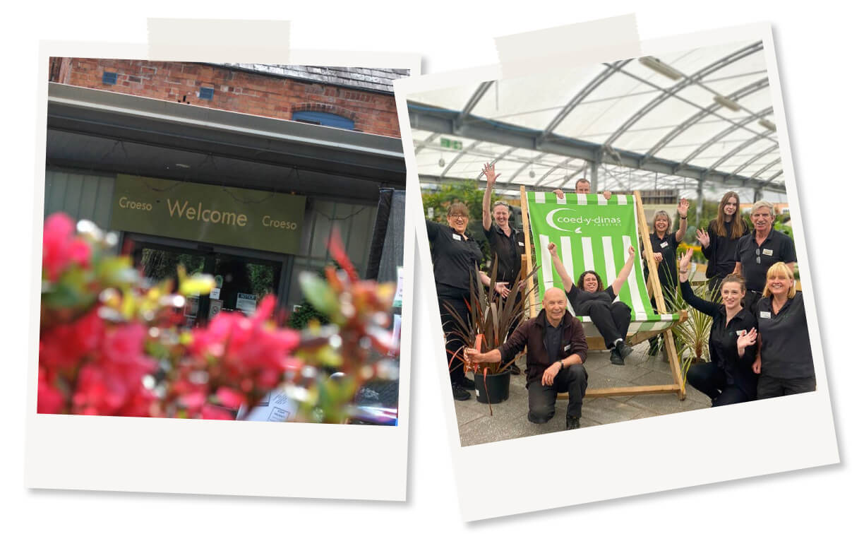 Two images styled like polaroids overlapping slightly, with one image of the Coed-y-Dinas store front & the other with staff sitting on a big green deck chair