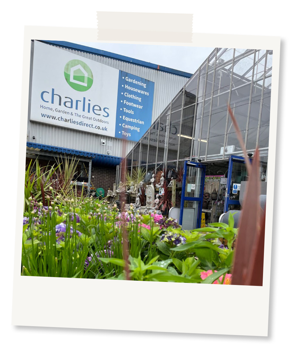 Polaroid image of Charlies Carmarthen store