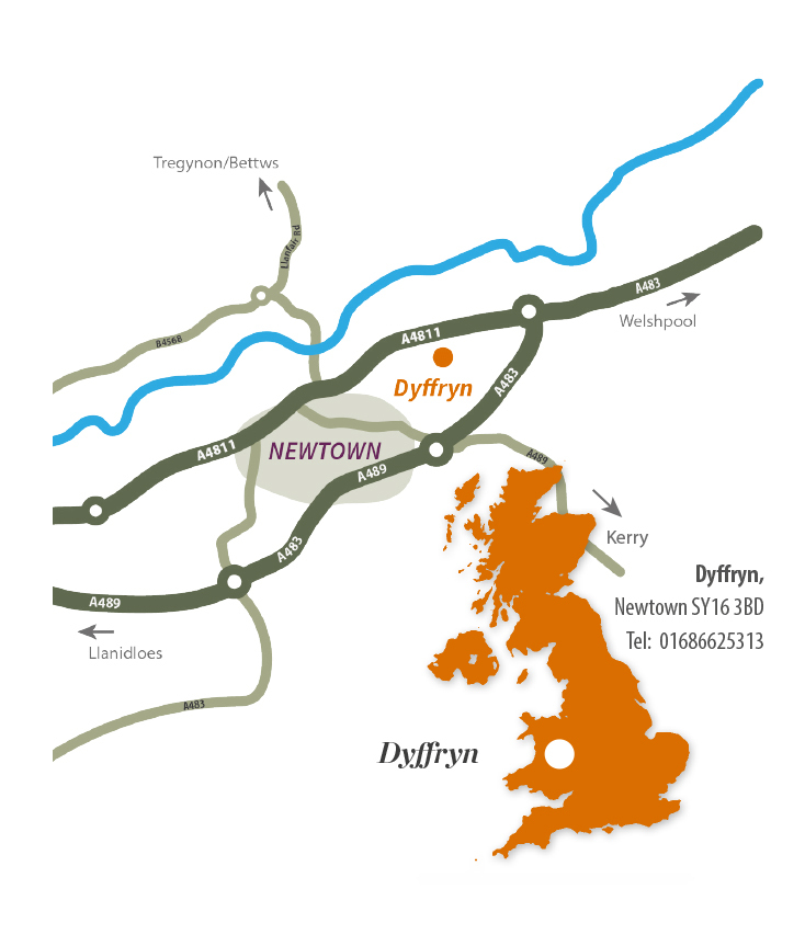 Map of Newtown area with orange dot showing where Charlies Dyffryn store is.