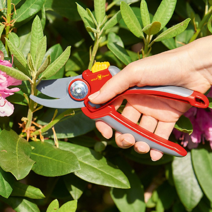 SHOP GARDEN TOOLS >