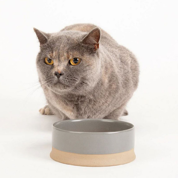 FOR THE CAT >