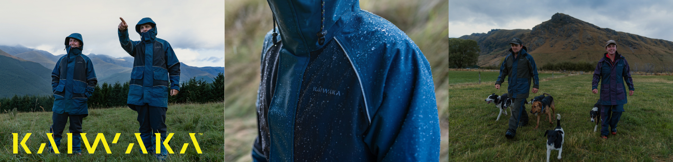 Two people in blue raincoats stand in a grassy field, pointing at the sky. Close-up of rain-drenched coat. Two people walk dogs near a mountain. Energetic feel.