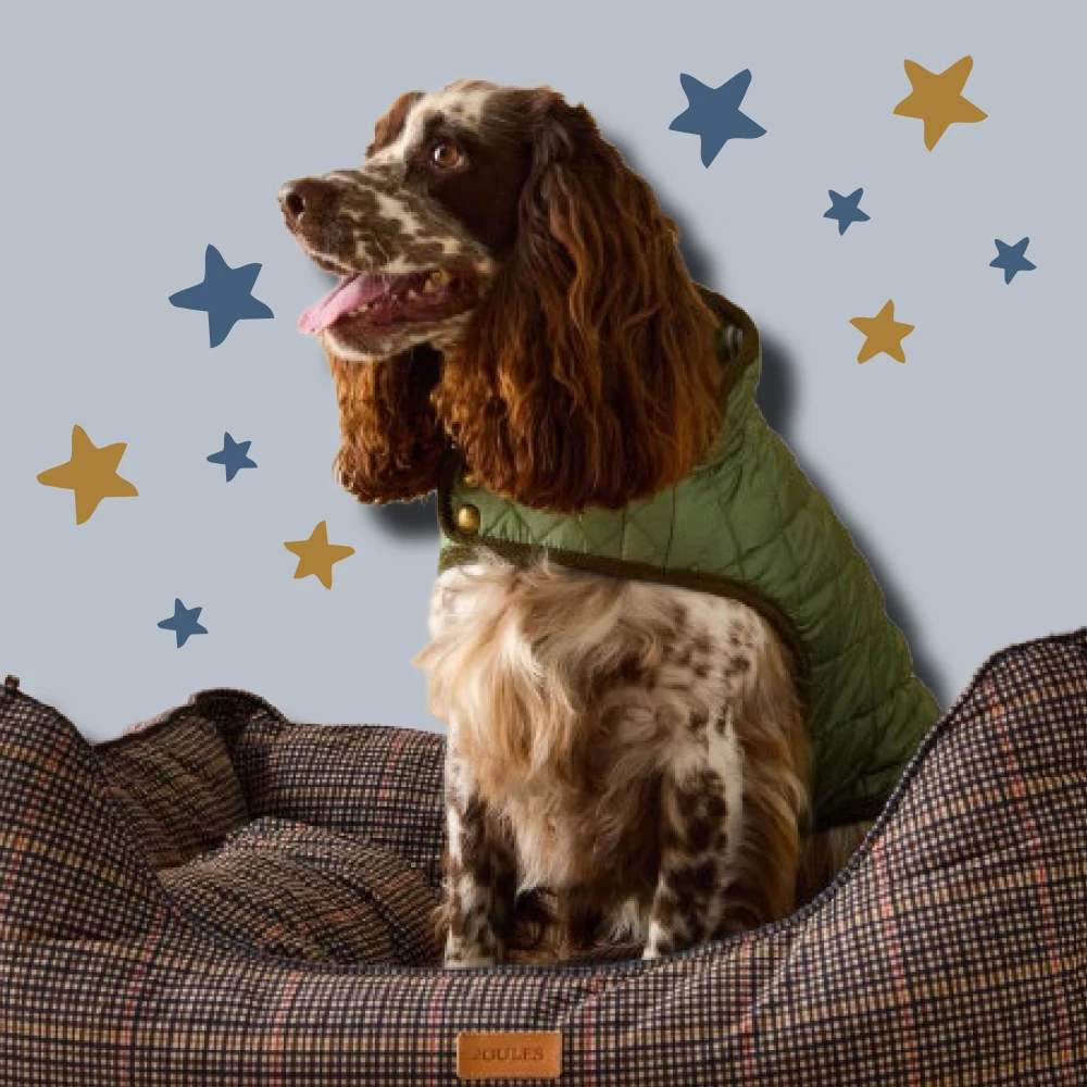 SHOP GIFTS FOR PETS >