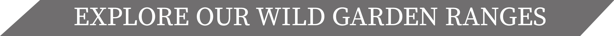A view of a banner saying explore our wild garden ranges