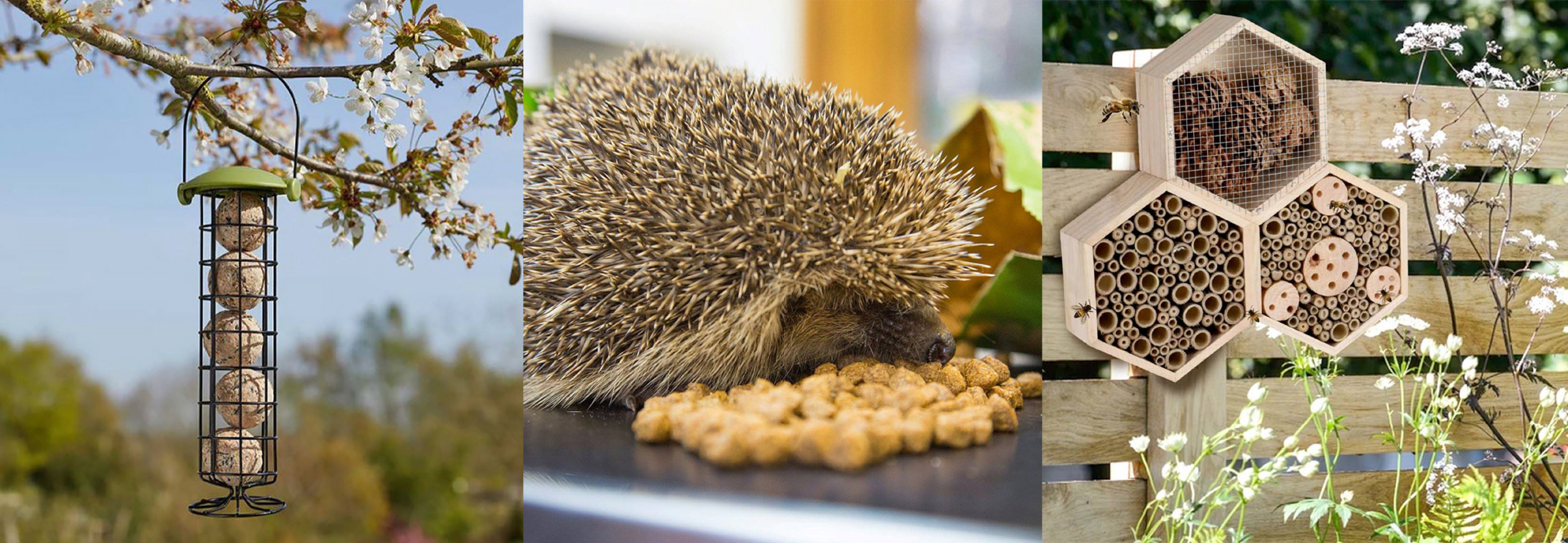 A banner with three photos, one with a bird feeder hanging from a blossom tree, one of a hedgehog eating food and the last one is of an insect house with a bee flying by it. 