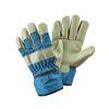 Gloves & Kneelers