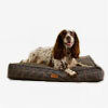 Christmas Gifts For Pets