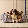 Shop Pet Accessories