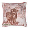 Cushions