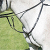 Martingales & Breastplates