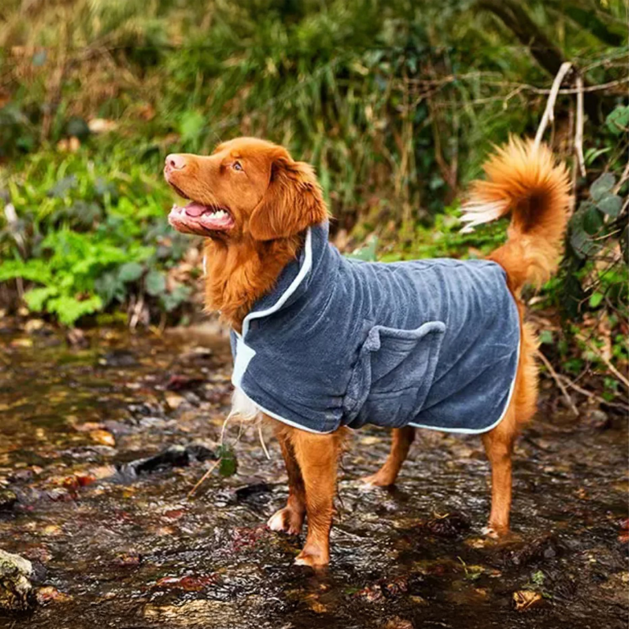 Muddy Paws Season: Surviving Autumn & Winter With Your Dog