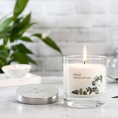 Wax Lyrical Medium Scented Candle Jar - Fresh Eucalyptus | Charlies
