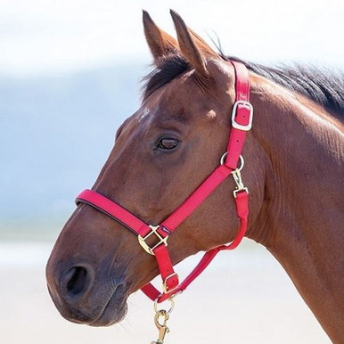 Shires 1.8 Metre Topaz Lead Rope in Pink
