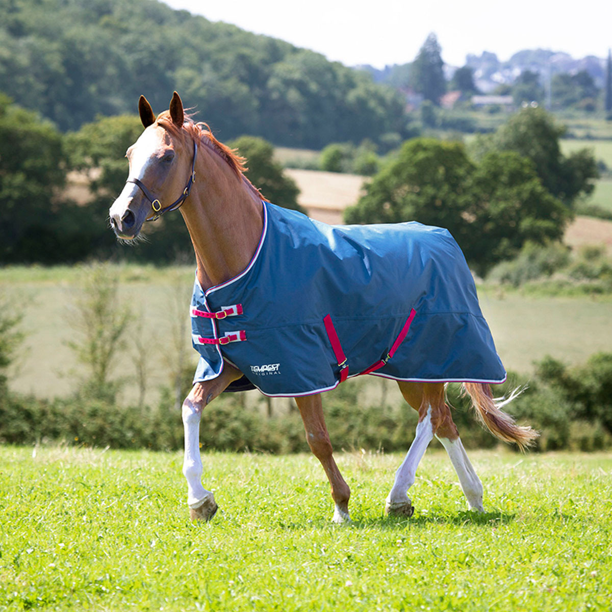 Tapis De Protection Highlander Original Lite 6'3 – Couverture Cheval – Neuf