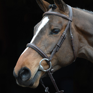 Filet De Bride équitation Collegiate Syntovia+ - Caveçon Rembourré Surélevé - Neuf