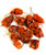 Habanero Chilli 