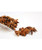 Star Aniseed Star Aniseed